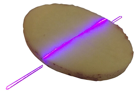 thickness-volume-measurement-potato-slices.jpg 